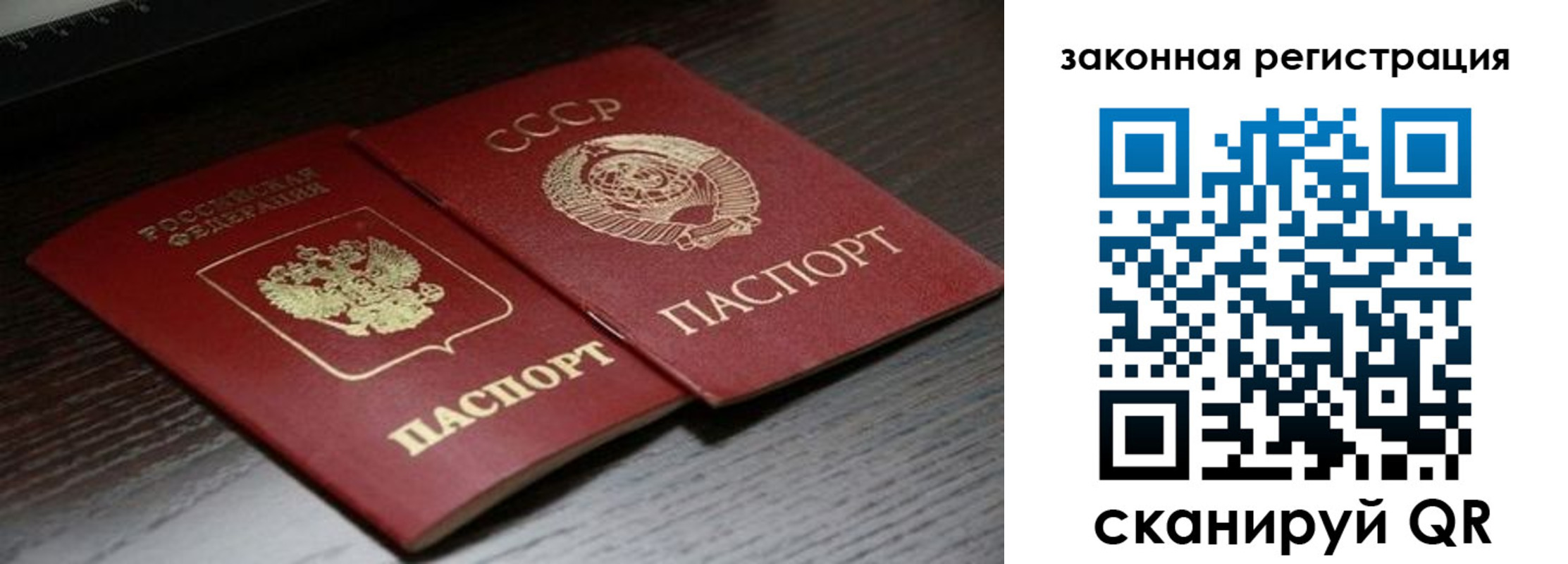 прописка поиск в Кохме